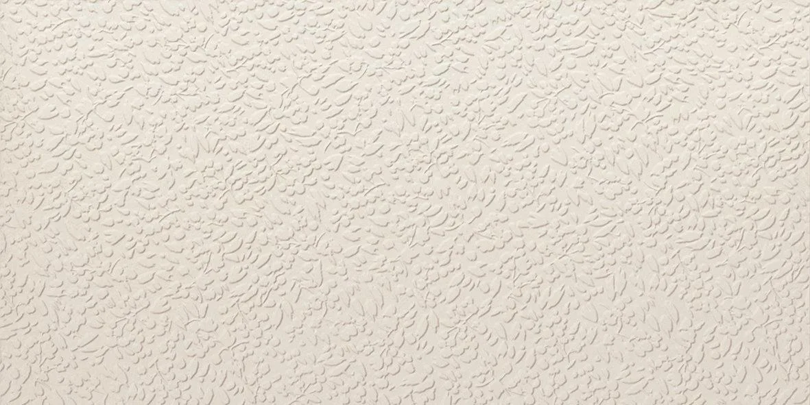 Carmen Argillae Nisus Neve Rect 30x60