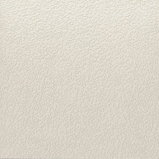 Carmen Argillae Nisus Neve Rect 60x60