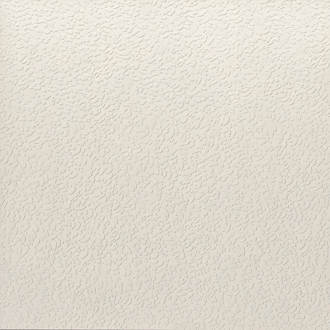 Carmen Argillae Nisus Neve Rect 60x60