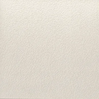 Carmen Argillae Nisus Neve Rect 60x60