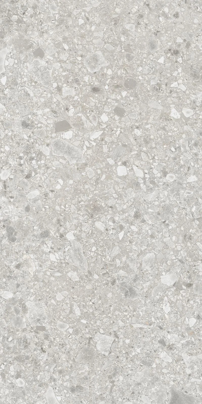 Vives Ceppo di Gre Gris-R 60x120