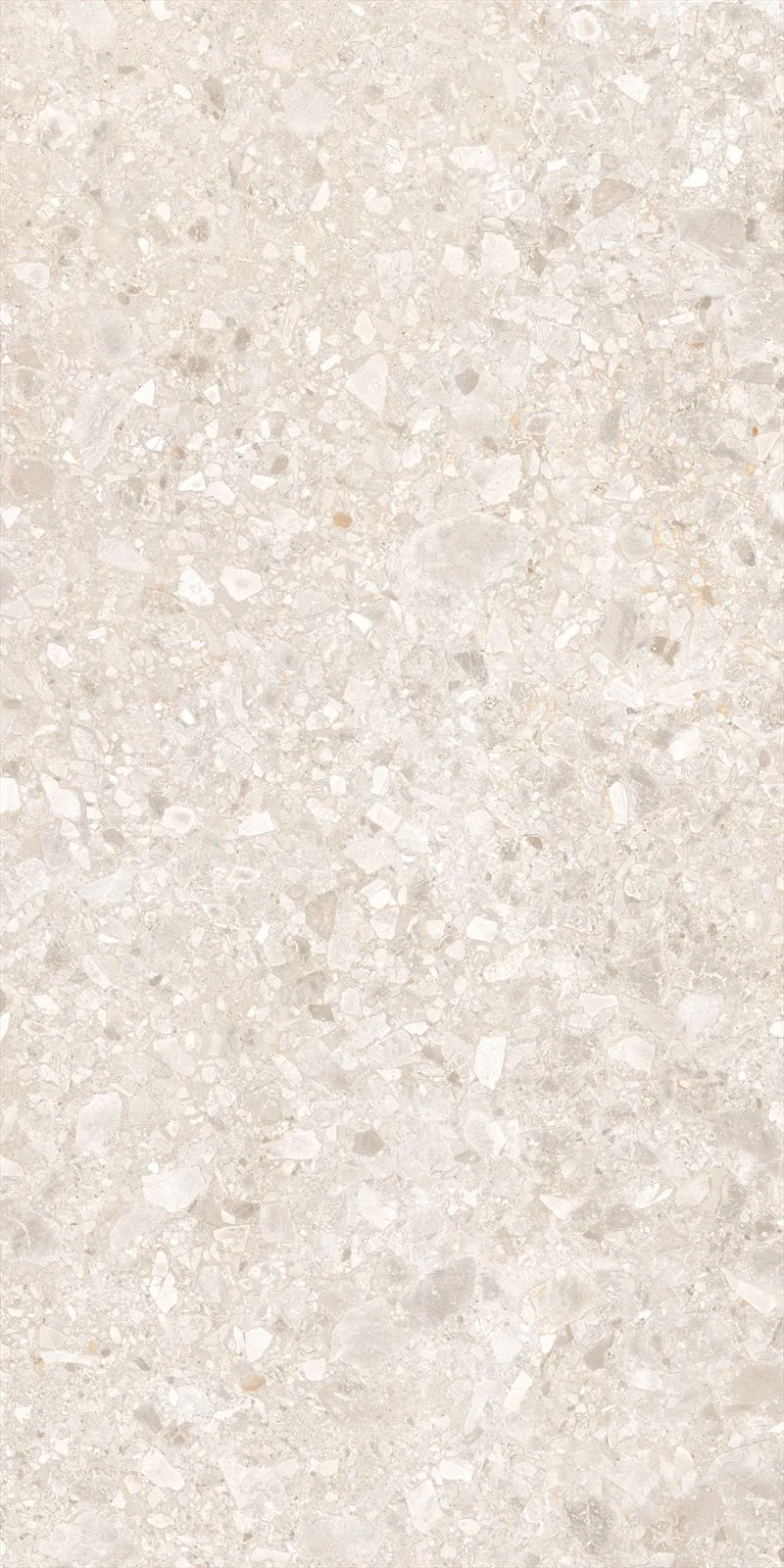 Vives Ceppo di Gre Marfil-R 60x120