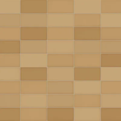 Vives Corso Caramelo 10x20
