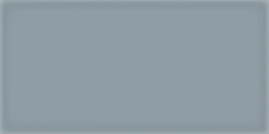 Vives Corso Gris 10x20