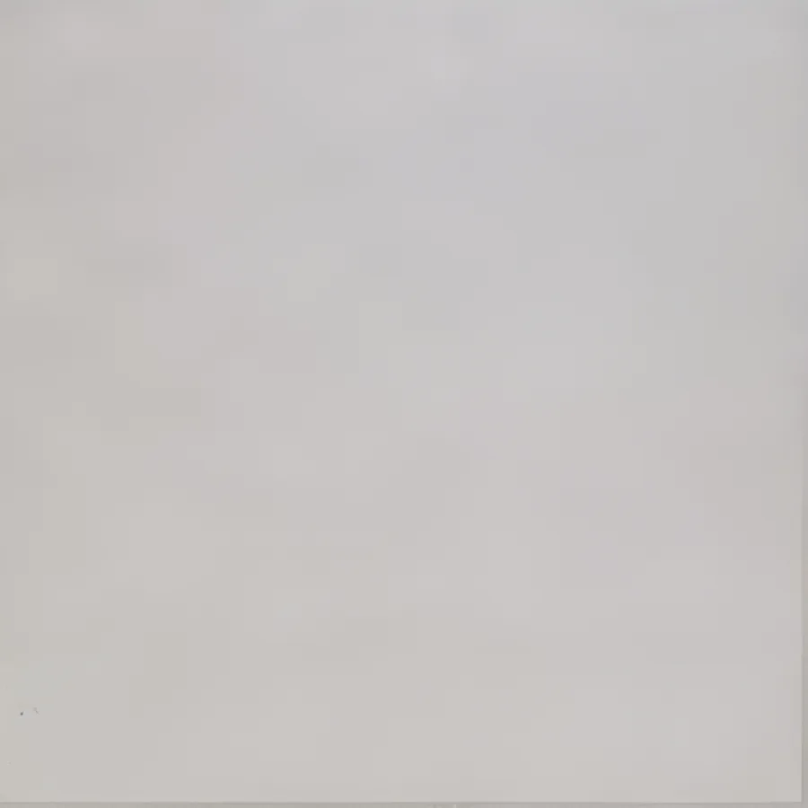 Rako Block Grijs mat 60x60 (7DAK62780)