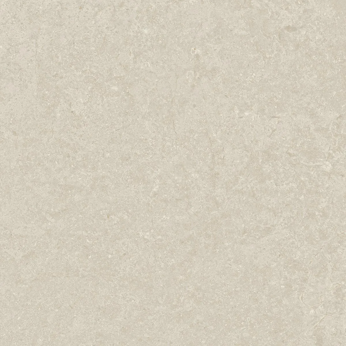 Arcana Cupola-R Bone120x120