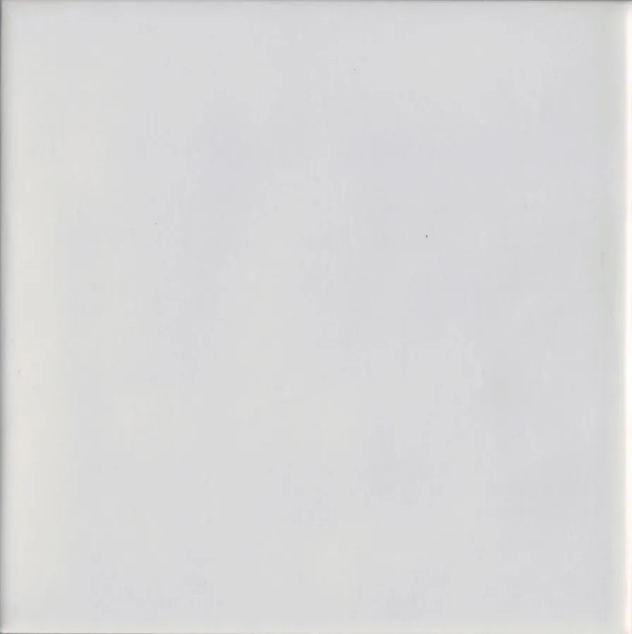 Adex Habitat Liso Alabaster Matte 13x13