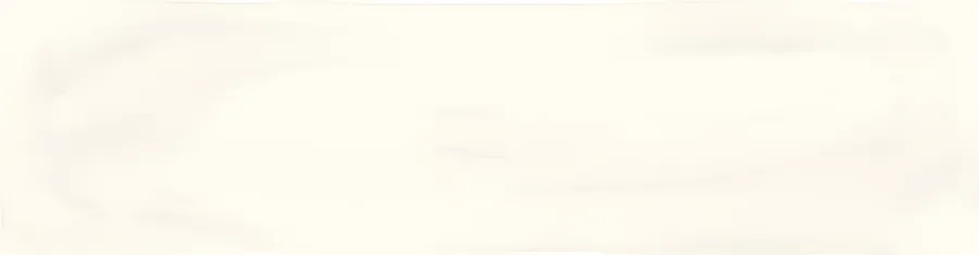 Vives Javea Perlado Brillo 8x31,5