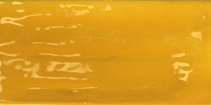 Tonalite Joyful Mango 10x20