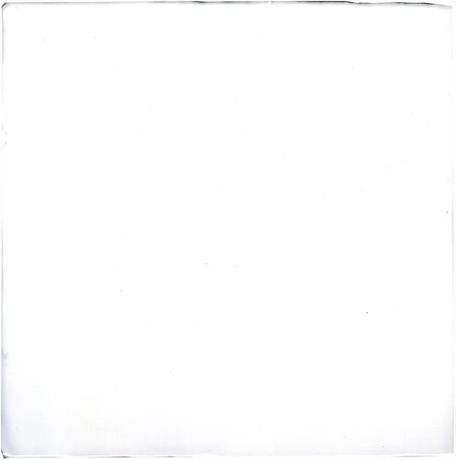 Ceramica Antiga Kent Snow White 20x20