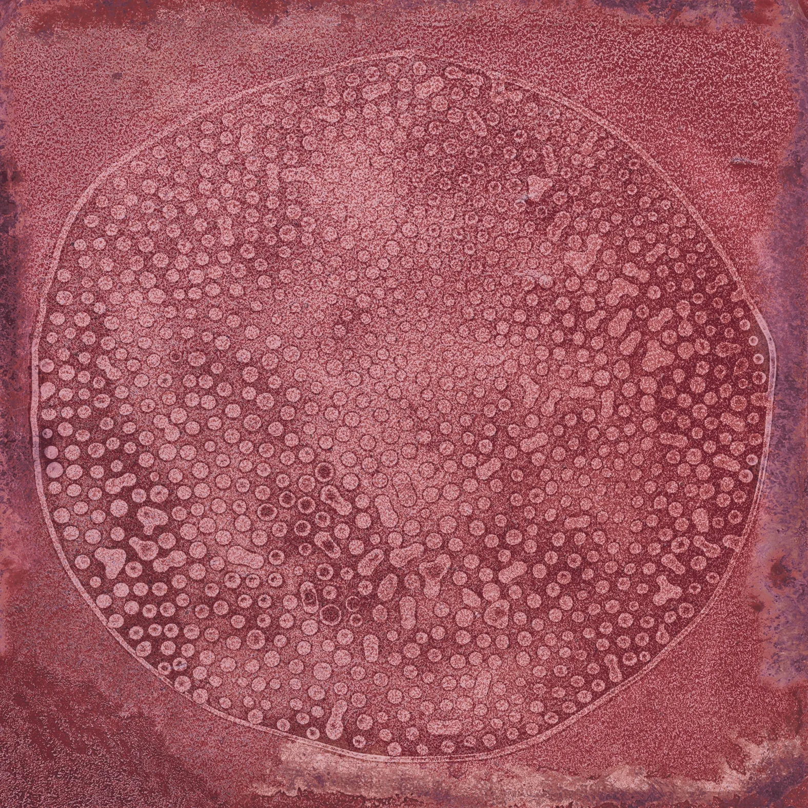 Vives Luca Carlo Granate 20x20