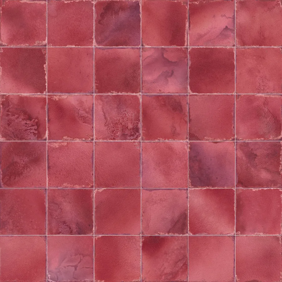 Vives Luca Granate 20x20