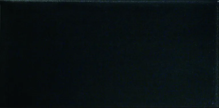 Altair Madrid Liso Negro Brillo 10x20