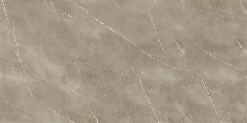 EnergieKer Marble Brown/Pietragrey Taupe Nat. 60X120