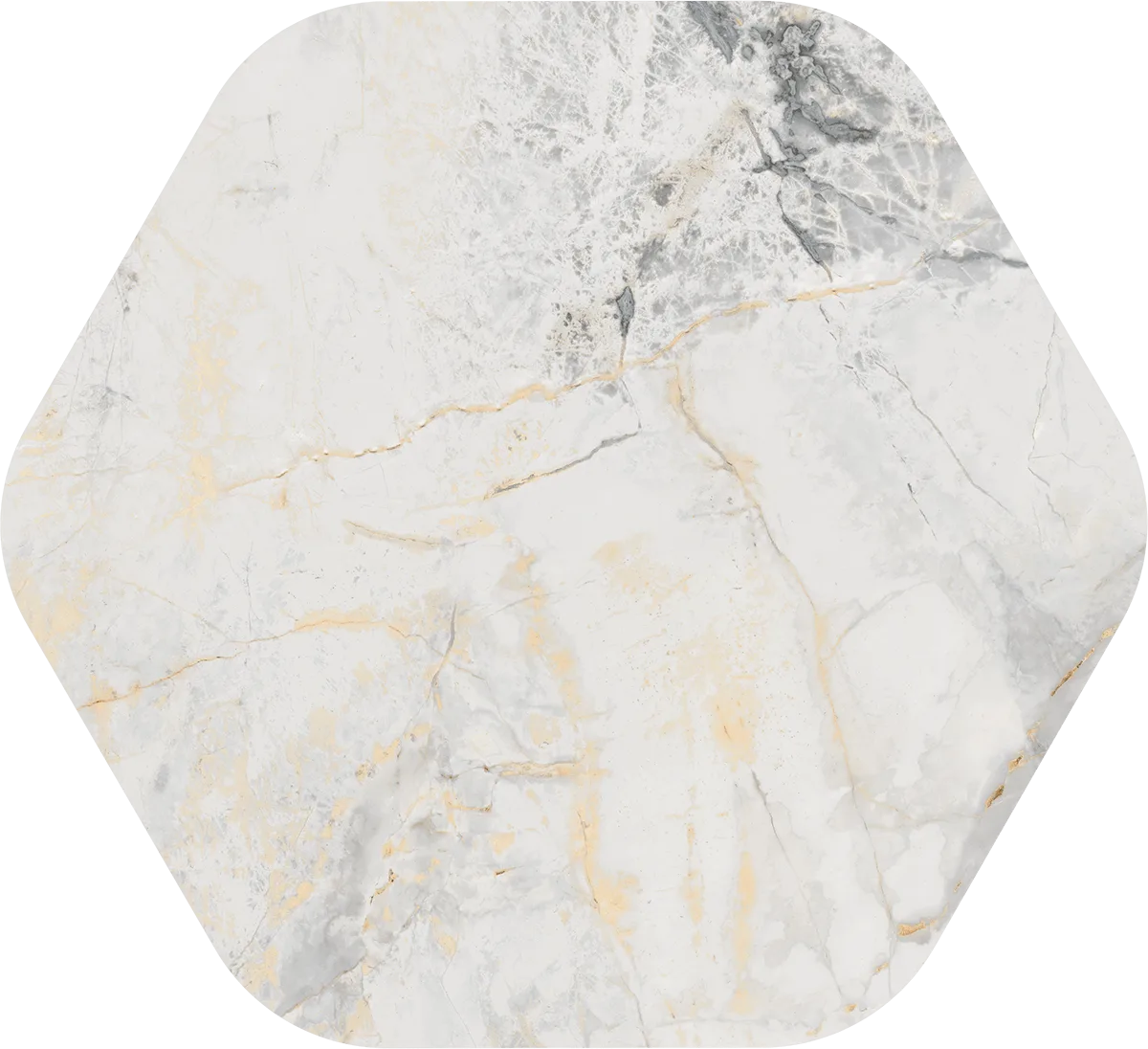 Vives Marblelous Pietra Erdek 118,9x108,5