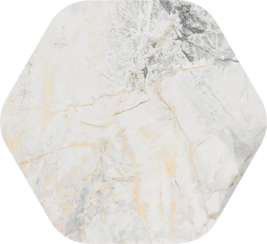 Vives Marblelous Pietra Erdek 118,9x108,5