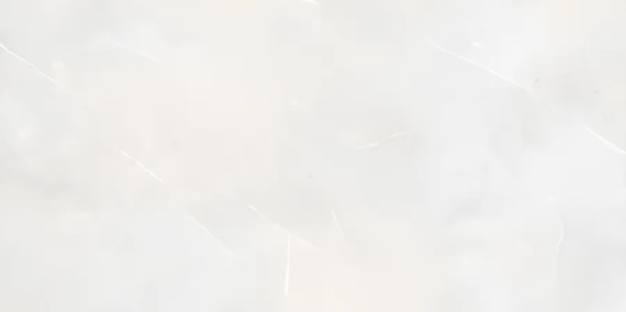 Rako Fly Grijs mat 60x120 (7DAKV9882)