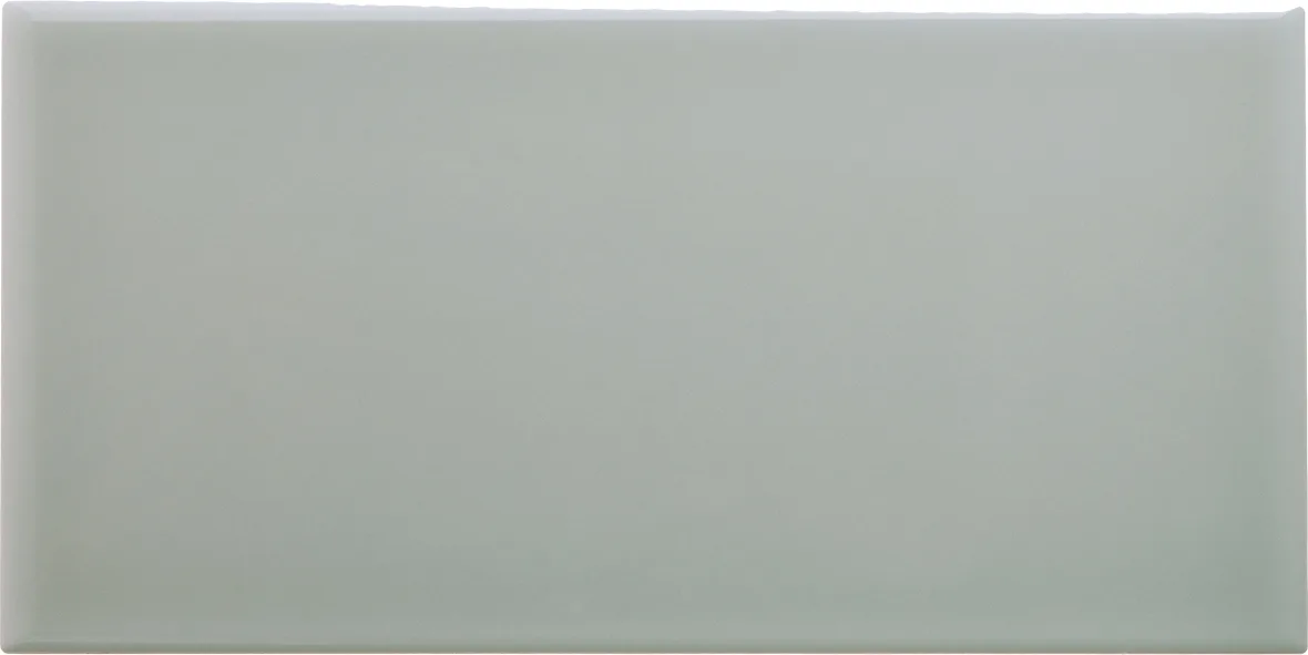 Adex Neri Liso 10x20 Silver Mist