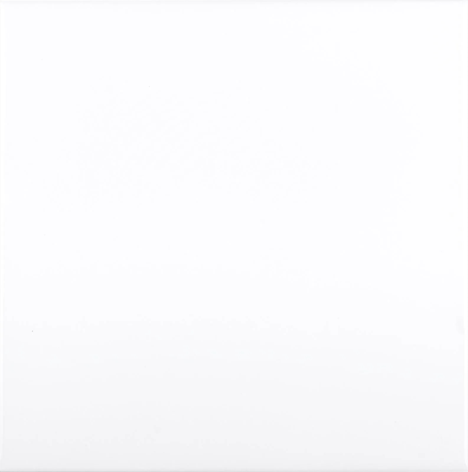 Adex Neri Liso 15x15 Blanco Z