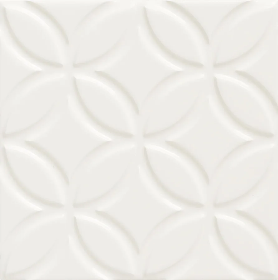 Adex Neri Liso Botanical Bisquit 15x15