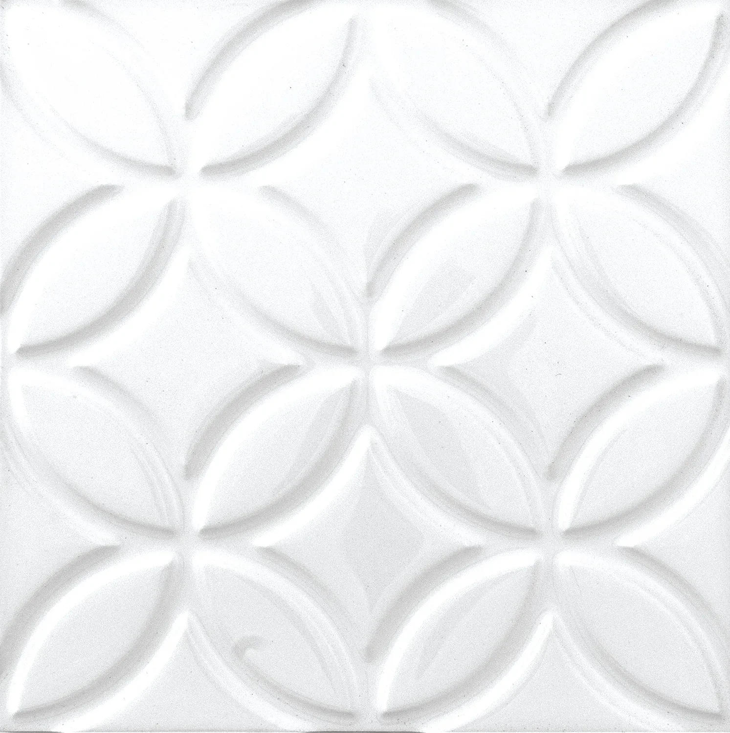 Adex Neri Liso Botanical Blanco Z 15x15