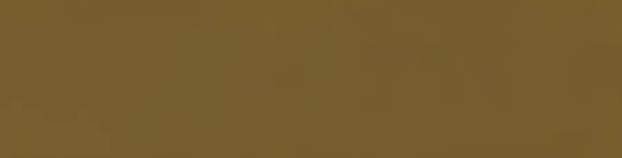 Vives Origo Ocher 8x31,5