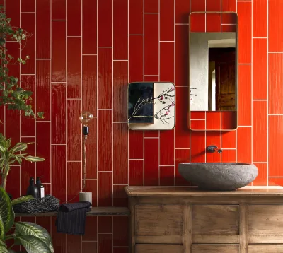 Tonalite Paintboard Salvia 10x40