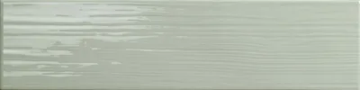 Tonalite Paintboard Salvia 10x40