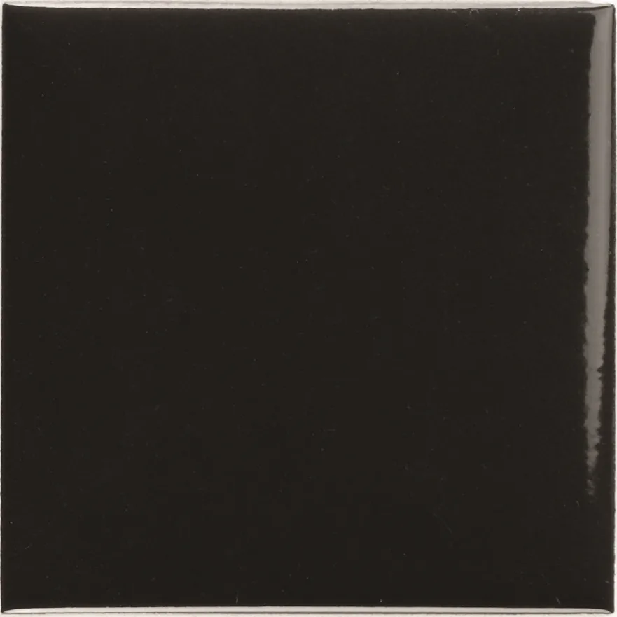 Natucer Pool Porc. Negro 10x10