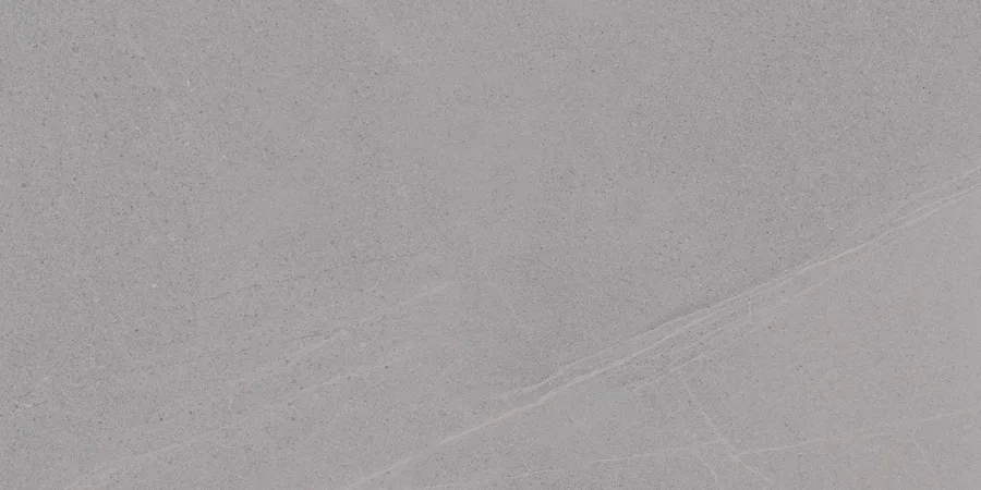Vives Seine-R Gris 60x120