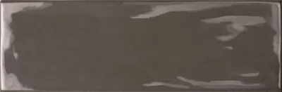 Tonalite Silk Grafite Plus 10x30 - 434PL