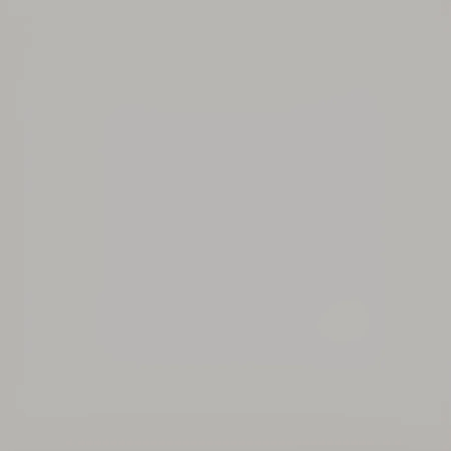 Rako Colorone Grijs glans 20x20