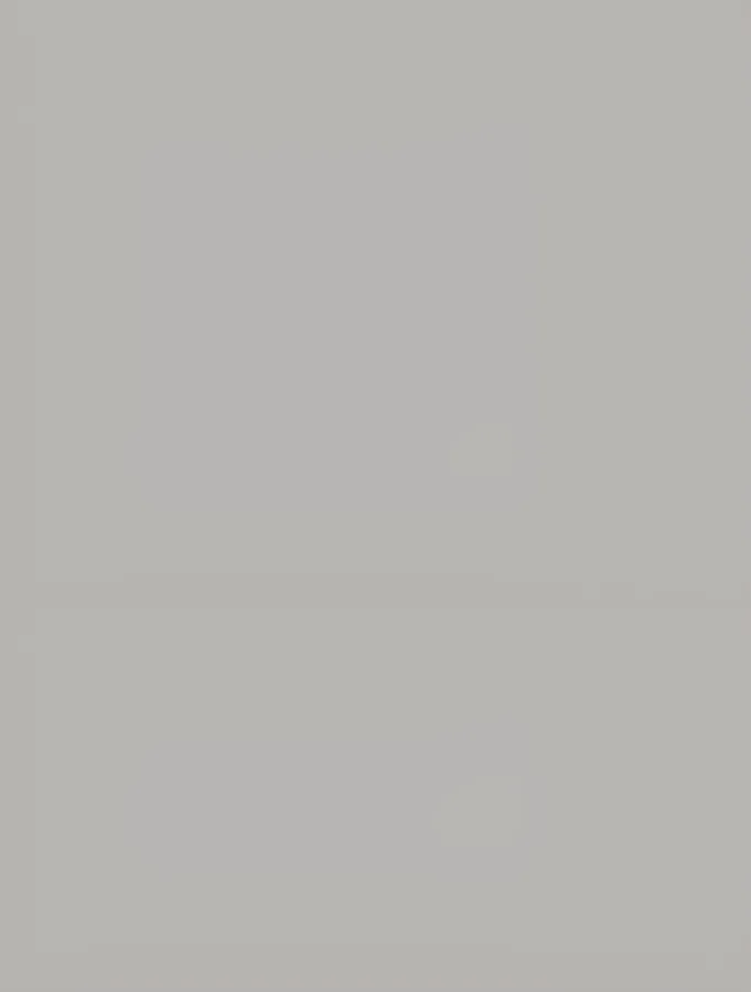 Rako Conceptplus Grijs glans 25x33 (7WAAKB010)