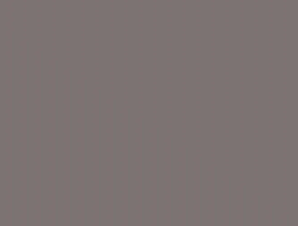 Rako Conceptplus Grijs glans 25x33