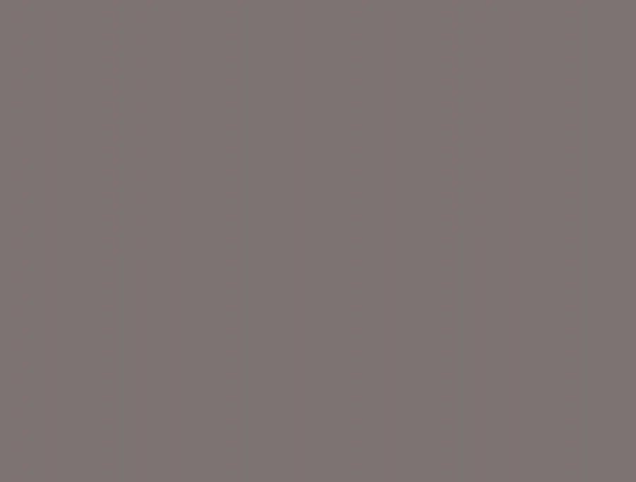 Rako Conceptplus Grijs glans 25x33 (7WAAKB011)