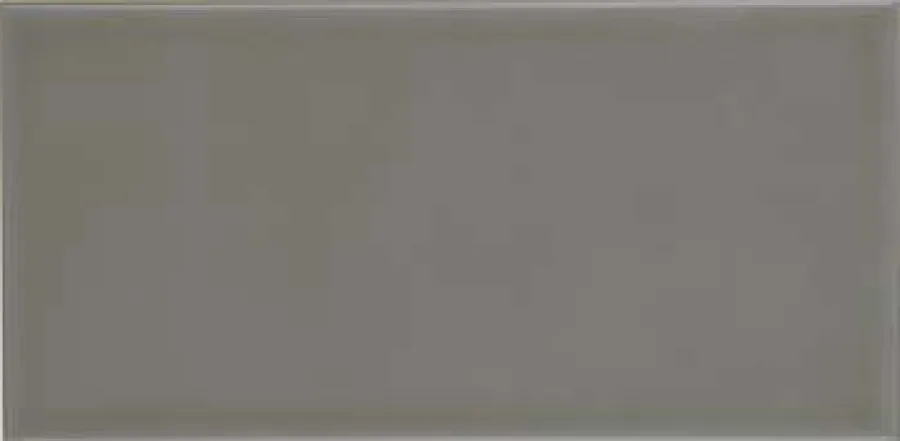 Adex Studio Liso 9,8x19,8 Silver Sands
