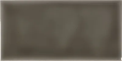 Adex Studio Liso 9,8x19,8 Timberline