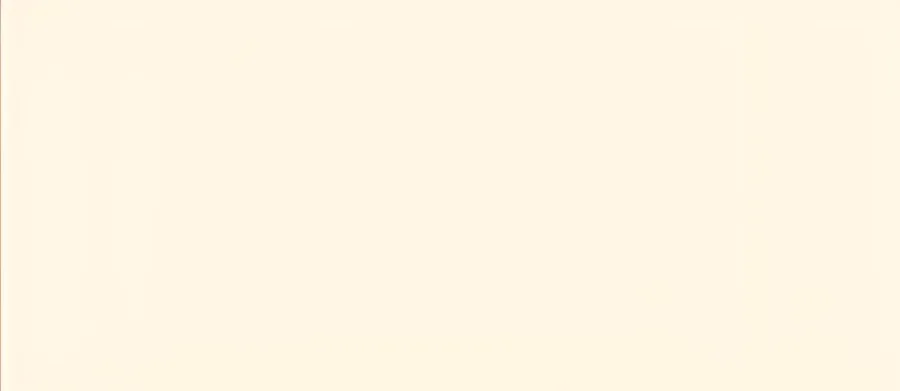 Rako Concept Beige mat 20x60