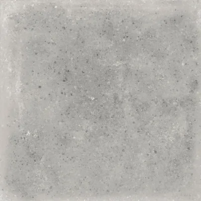 Vives World Streets Orchard Cemento 20x20