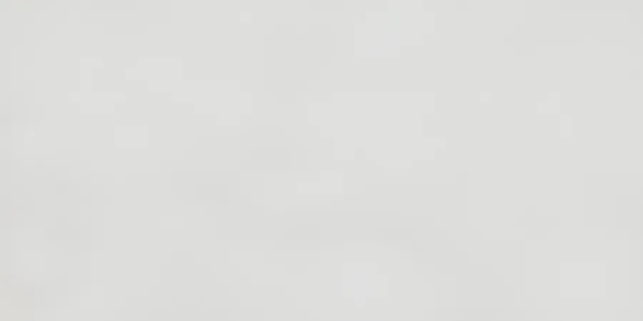 Rako Extra Wit mat 30x60 (7WADVK822)