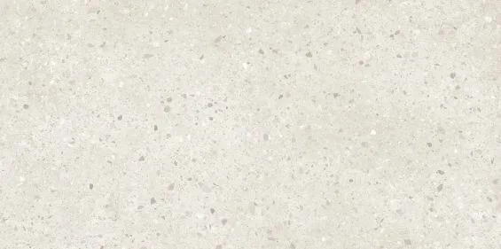 Caesar Moodboard Chips Clear 60x120
