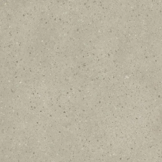 Caesar Moodboard Chips Fusion 60x60