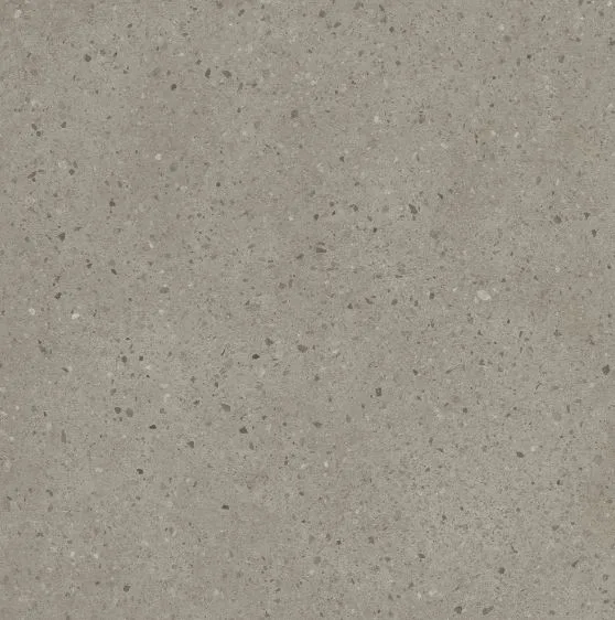 Caesar Moodboard Chips Silent 60x60