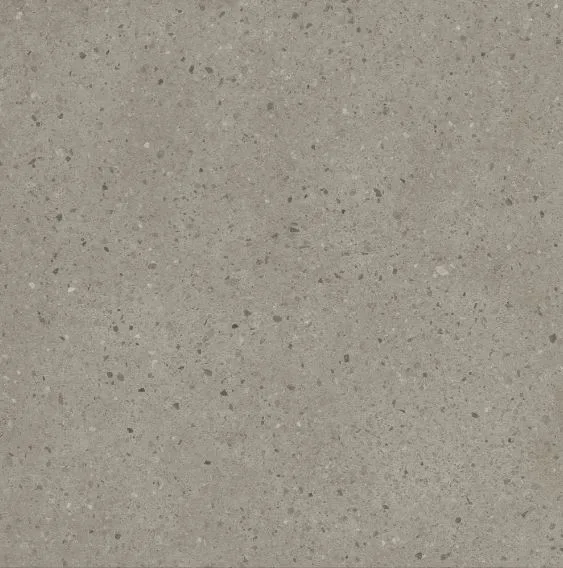 Caesar Moodboard Chips Silent 119.5x119.5