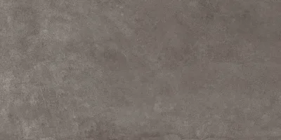 Dg