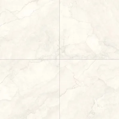 CER Leonardo Marfil Polish 120x120