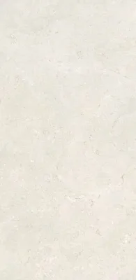 Wit