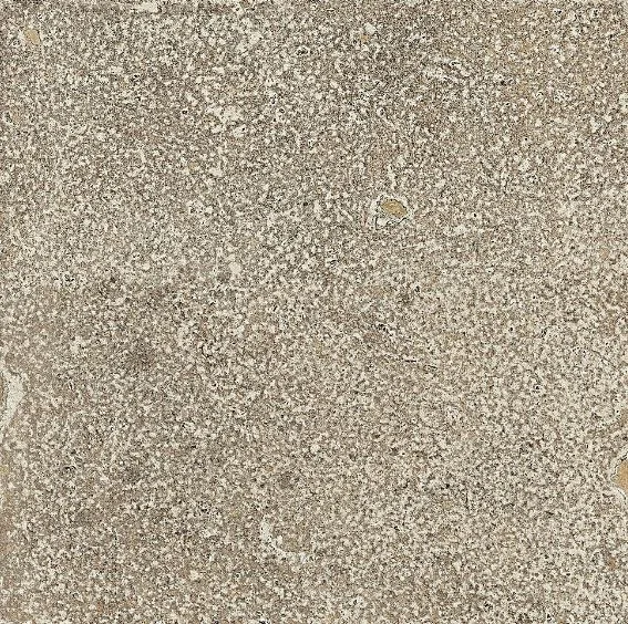 Isla Pomposa Mineral Mat 80x80