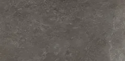 CER Saltstone Dark 10x30