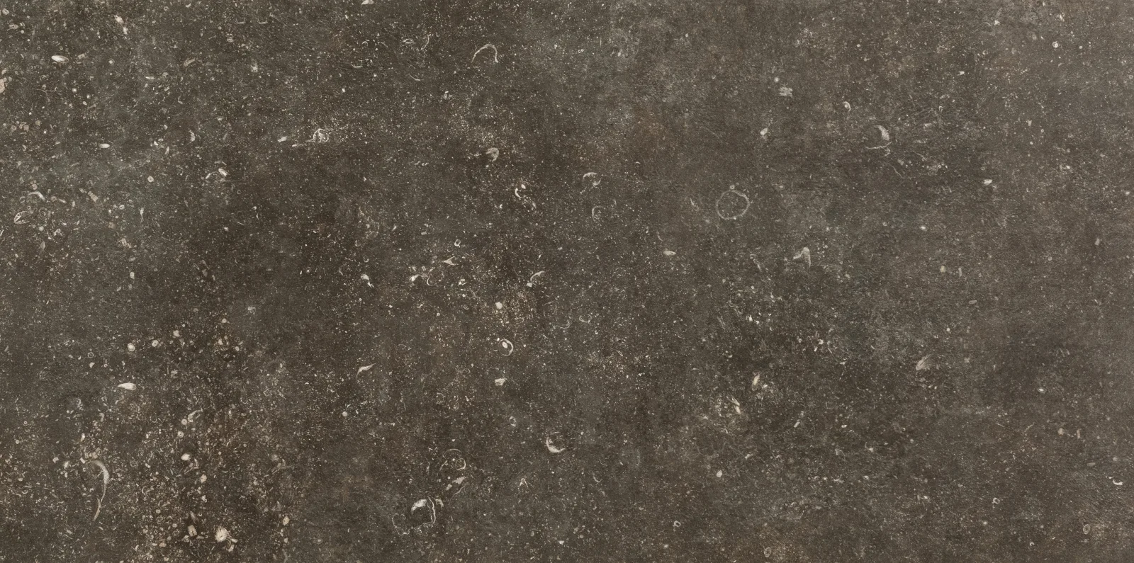 Florim Atmospheres Desir Sable Rec 60x120